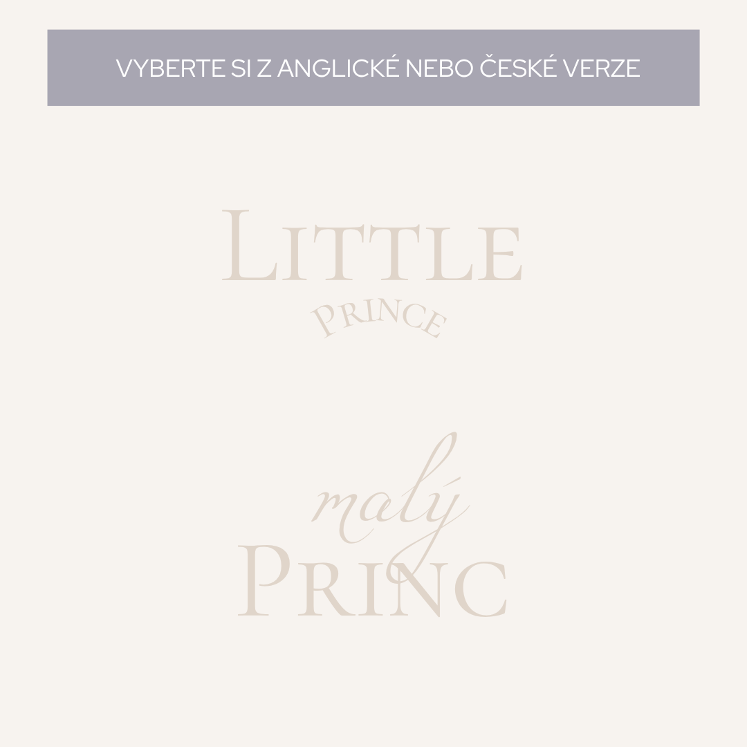 Malý princ_Little prince_design pro děti_1